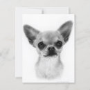 Suche nach haarig postkarten Chihuahua