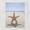 Suche nach cape cod massachusetts poster Urlaub