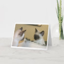 Suche nach spiegel karten Spaß