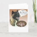 Suche nach aß karten Hund