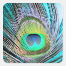 Suche nach peacock aufkleber Vögel