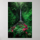 Suche nach tropischer regenwald poster Tropisches klima