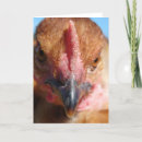 Suche nach macro karten Fotografie