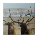 Suche nach elk fliesen Wapiti