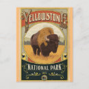 Suche nach yellowstone postkarten Usa