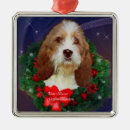 Suche nach basset ornamente Urlaub