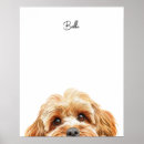 Suche nach cockapoo poster Aquarell
