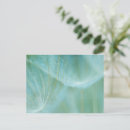 Suche nach löwenzahn postkarten Blühen