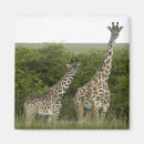 Suche nach draußen magnete Horizontal