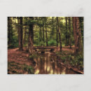 Suche nach wald postkarten Wasser