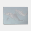 Suche nach delphin poster Grau