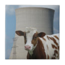 Suche nach molkerei fliesen Bauernhof