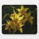 Suche nach orchideen mousepads Blumenreich
