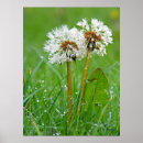 Suche nach zusammen für immer poster Liebe