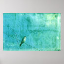 Suche nach vögel auf einem draht poster Vogel