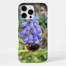Suche nach bienen hüllen Hummel