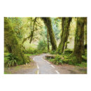 Suche nach moos poster Nationalpark