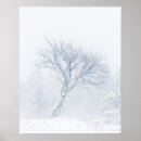 Suche nach schneesturm poster Natur