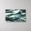 Suche nach meeresfrüchte leinwandbilder Fisch
