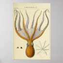 Suche nach vintage skizze poster Zeichen