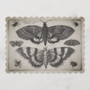 Suche nach motte einladungen Schmetterling