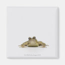 Suche nach frosch magnete Muscheln