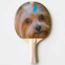 Suche nach hunde freizeit spiele Niedlich