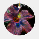 Suche nach heirloom ornamente Blume