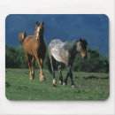 Suche nach mustang mousepads Reiter