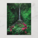 Suche nach wälder postkarten Berg