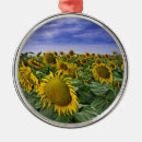 Suche nach feld ornamente Natur