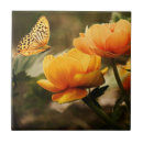 Suche nach gelbe schmetterlinge fliesen Natur