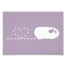 Suche nach meerschweinchen poster Cavies