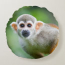 Suche nach nahaufnahme kissen Amerikanisch