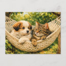 Suche nach begleiter postkarten Katze