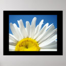 Suche nach farbdruck poster Kunstdrucke