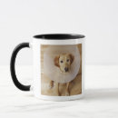 Suche nach labrador retriever tassen Vertikal