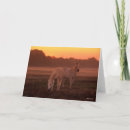 Suche nach zwei pferde karten Tier