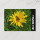 Suche nach gelber hintergrund visitenkarten Modern