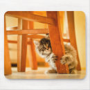 Suche nach miezekatze mousepads Haustier