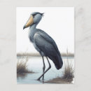 Suche nach stork postkarten Vögel
