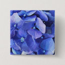 Suche nach blumen quadratische buttons Hydrangeas