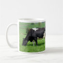 Suche nach cow tassen Holstein