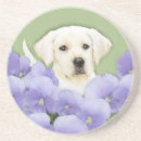 Suche nach dog untersetzer Labrador retriever