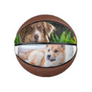 Suche nach ein foto basketbälle Erstelle selbst