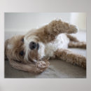 Suche nach liegend poster Horizontal