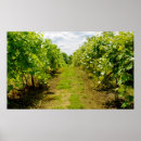 Suche nach der weinberg kunst Landschaft