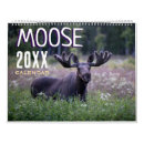 Suche nach wildlife kalender 2027