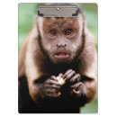 Suche nach kamera klemmbrett Nahaufnahme