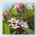 Suche nach frangipani wanduhren Flora